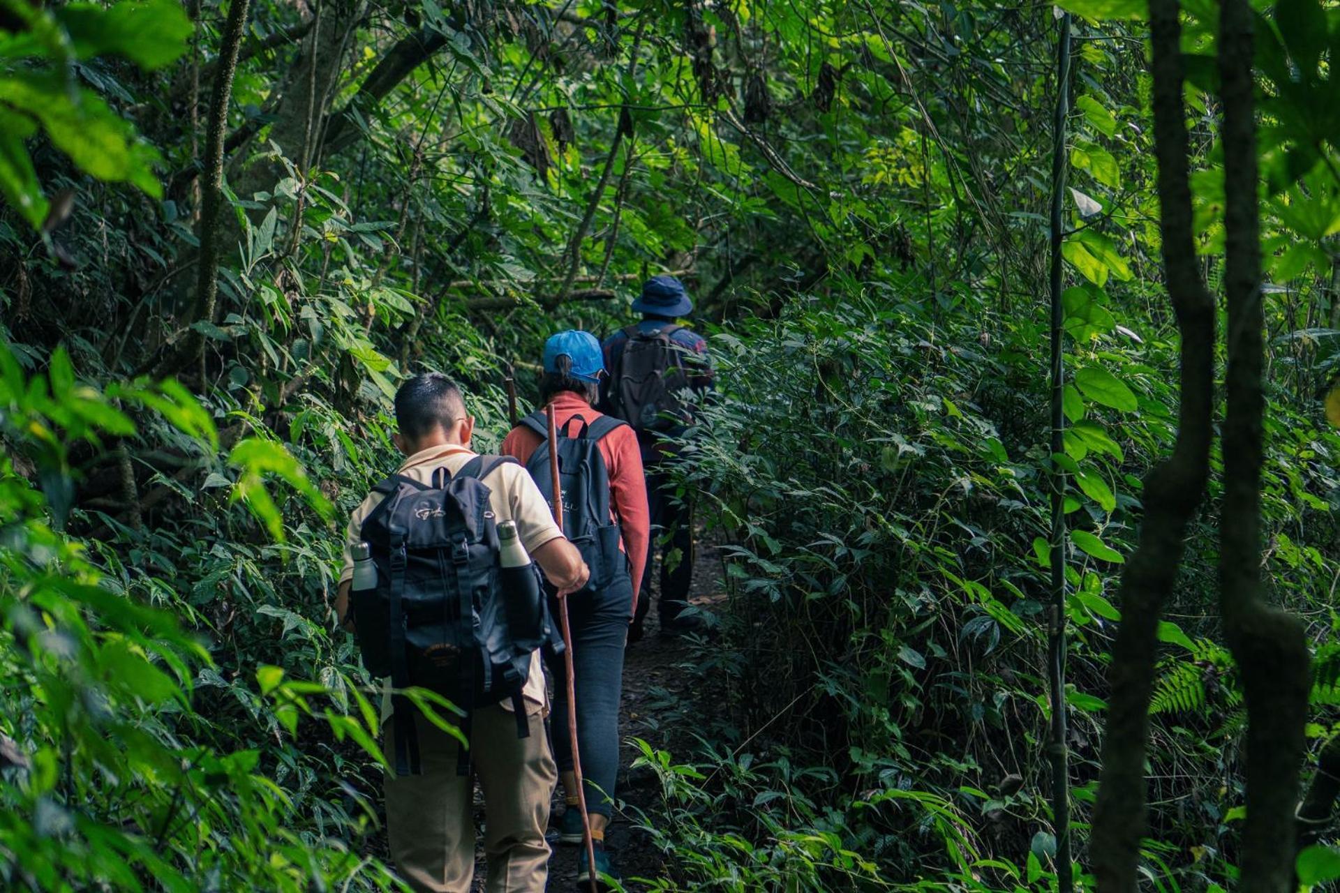 Munduk Moding Plantation Nature Resort Exterior foto Hiking in the park